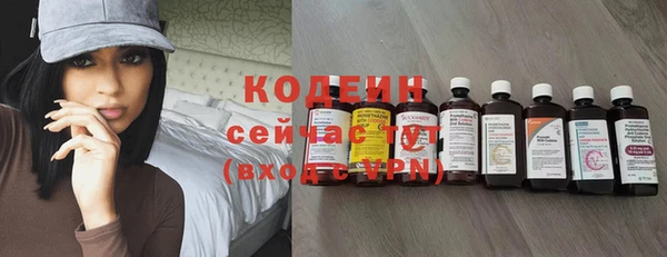 прущий лед Абаза